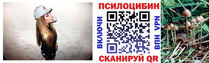 Псилоцибиновые грибы Cubensis  Полярные Зори 